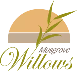 Musgrove Willow