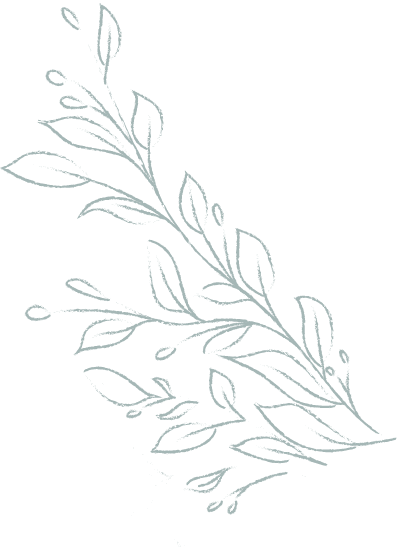 Leafy branch
